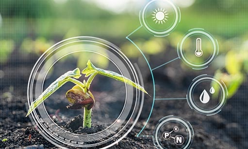 Künstliche Intelligenz in der Landwirtschaft ein Bericht der LMIS